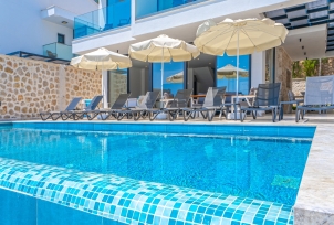 Villa Lion 4 Resim