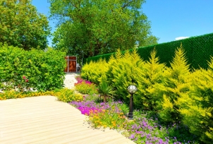 Villa Limon Kayaköy 1 Resim