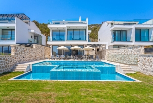 Villa Lion 0 Resim