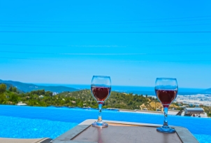 Villa Fiyona 3 Resim