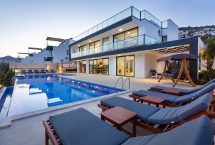 Villa Tigra 3 Resim