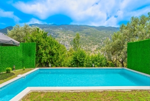 Villa Yelekin 3 Resim