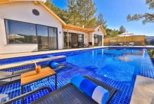 Villa Kozalak 0 Resim