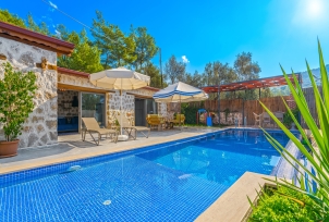 Villa Lavanya 2 Resim