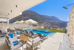 Villa Lion 3 Resim