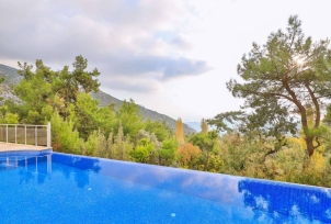 Villa Swiss 4 Resim