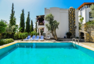 Villa Leo Bodrum 4 Resim