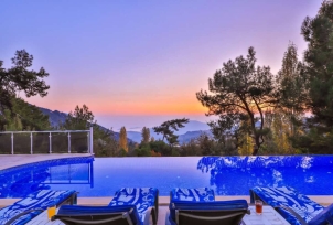 Villa Swiss 2 Resim