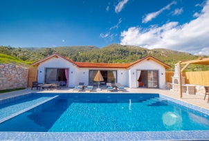 Villa Dessa 1 Resim