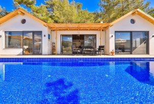 Villa Kozalak 1 Resim