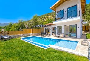 Villa Selenga 2 Resim