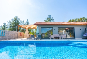 Villa Zelyus 2 Resim