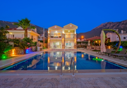 Villa Elif Ovacık 1 Resim
